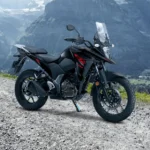 Suzuki V-Strom 250 SX BolaGG