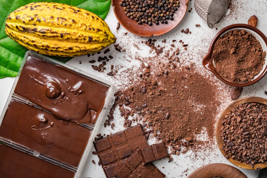 cocoa-beans-pods-chocolate-bar-pieces-cocoa-powder-1024x683.webp