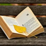 024386700_1614047385-book-3773783_1920