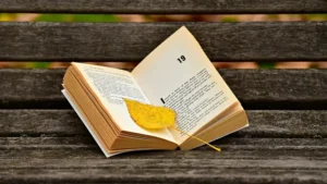 024386700_1614047385-book-3773783_1920