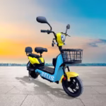 selis-kenari-95578