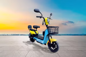 selis-kenari-95578